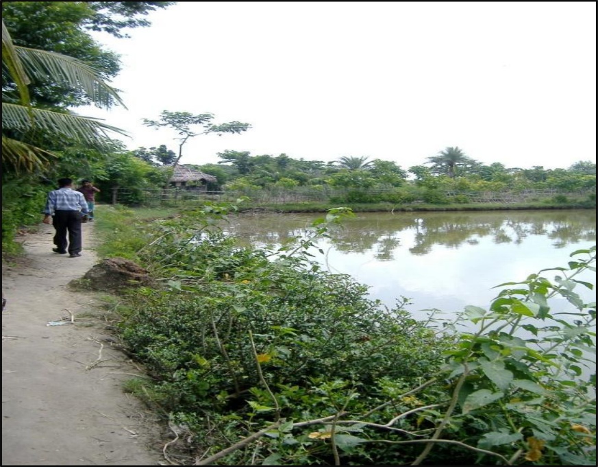 Coastal Embankment & Traditional Livelihoods