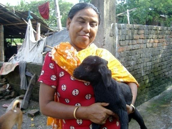 Livestock Rearing & Goat Distribution for Destitute Women
