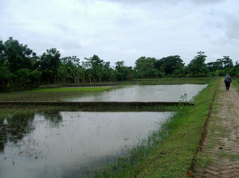 RUSTIC Coastal Aquaculture and Fish Farming