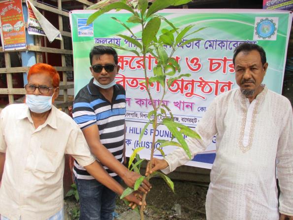 16.5 KM Roadside Tree Plantation