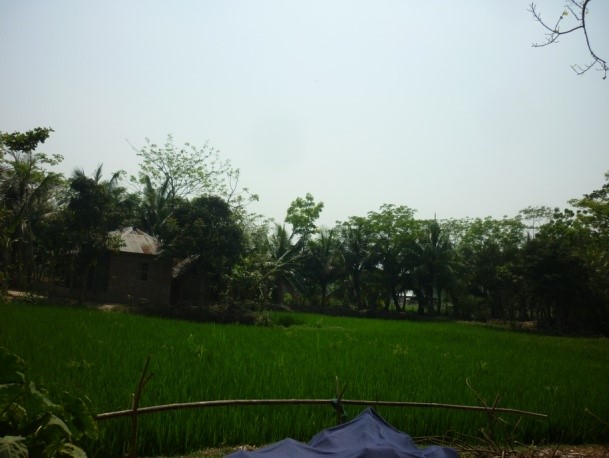 Cooperative of Farmer